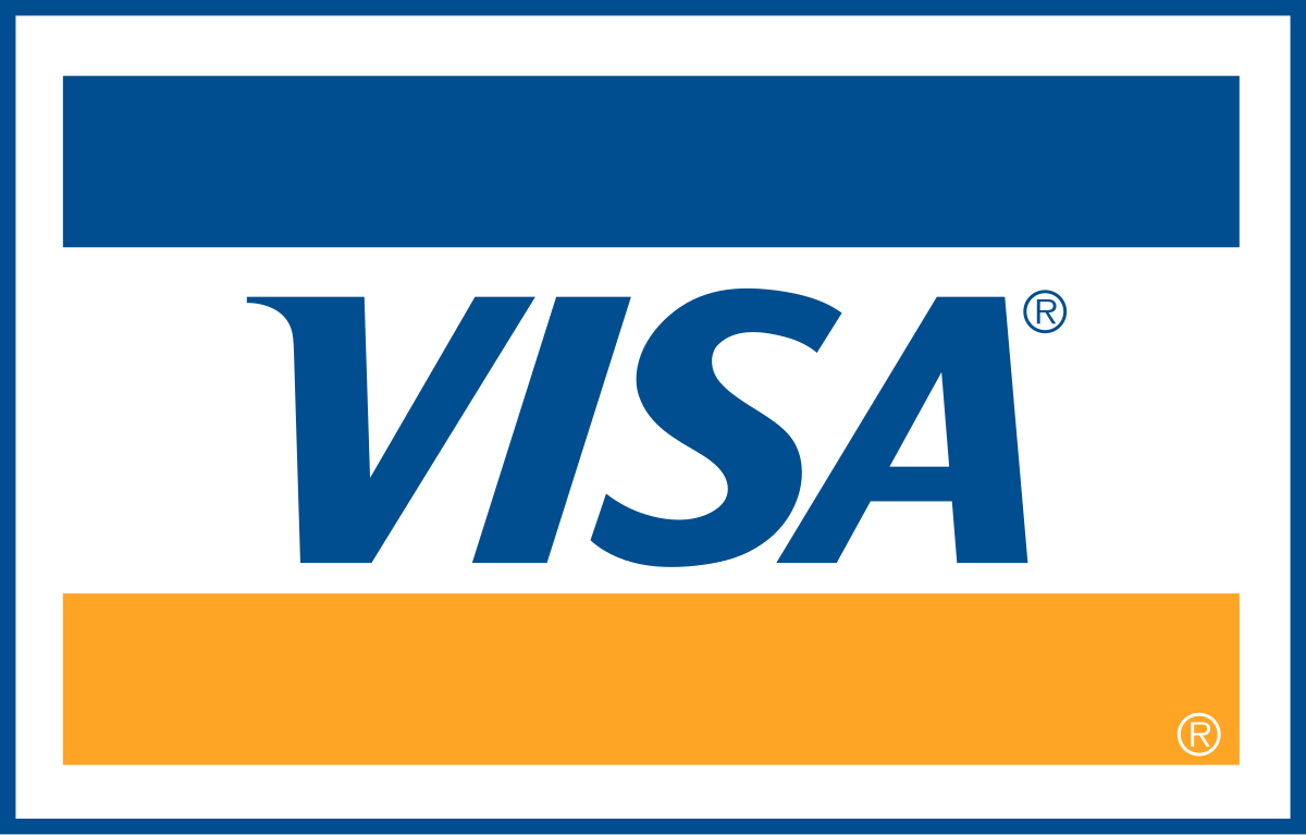 Visa payment icon